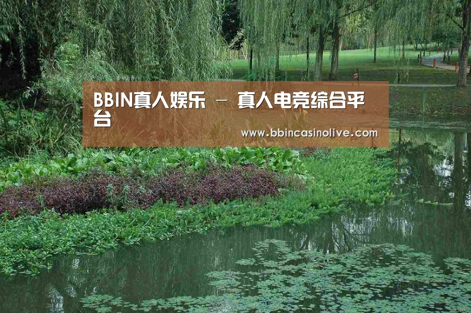 案例展示一(图1)