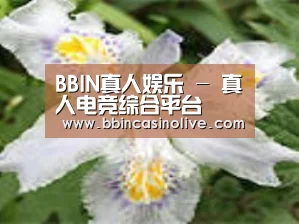 产品名称二