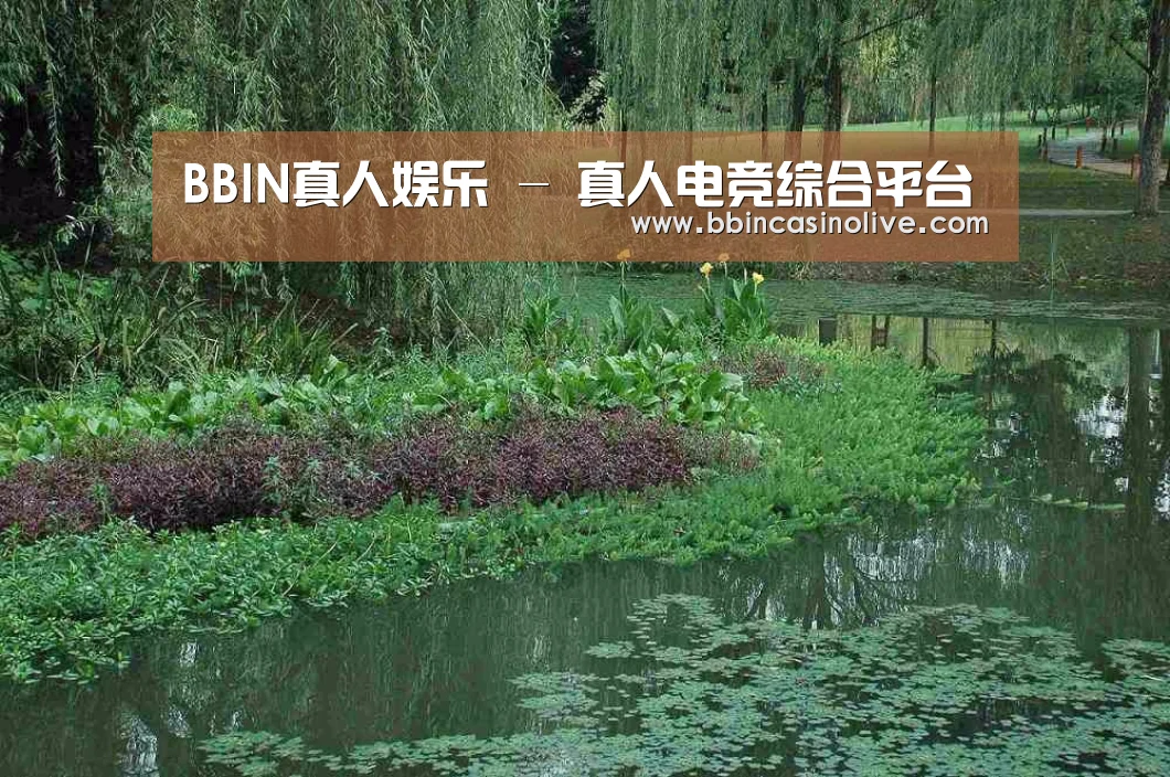 案例展示一