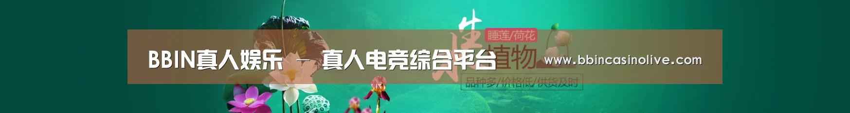 鲜花水草花卉网站模板